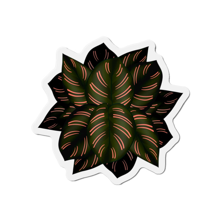 Calathea Pinstripe Magnet