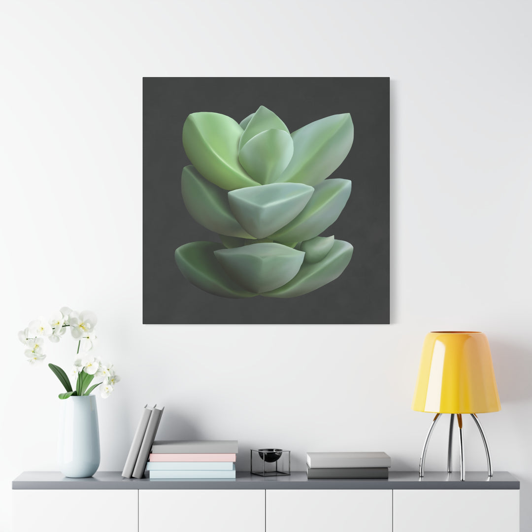 Crassula Canvas Print – Botanical Wall Art