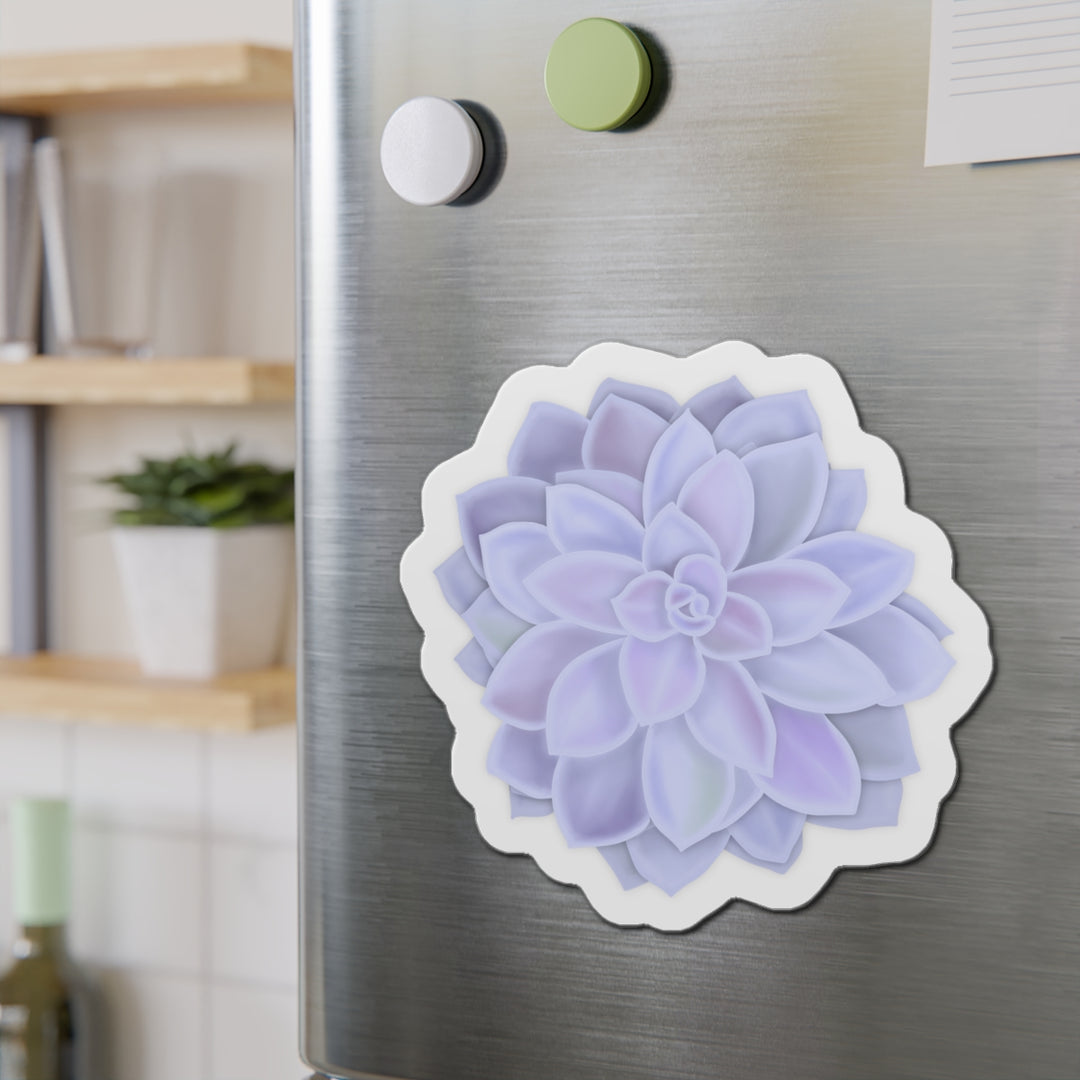 Graptopetalum Murasaki Succulent Magnet