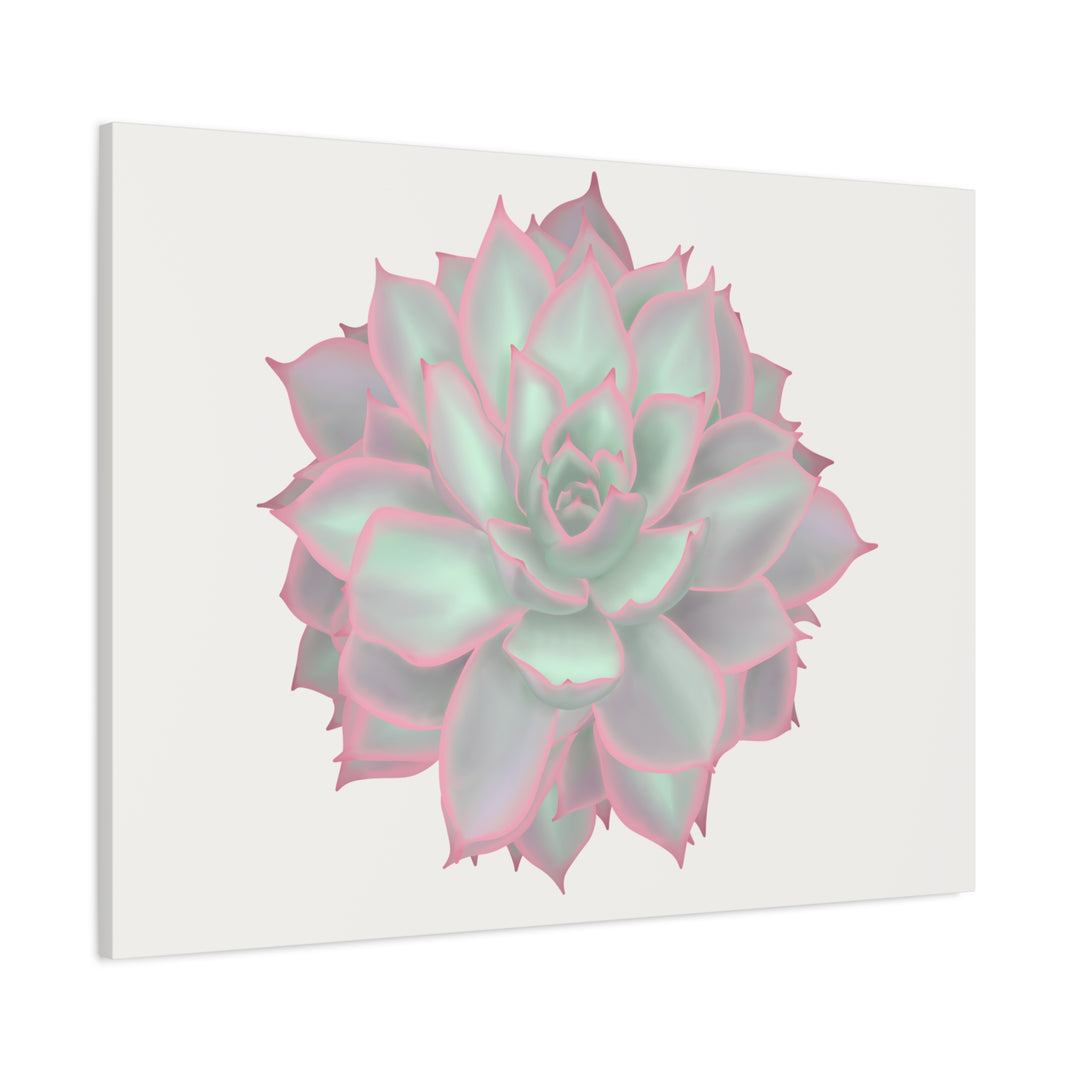 Echeveria Violet Queen Canvas Wall Art Rosette Succulent Print With Matte Finish