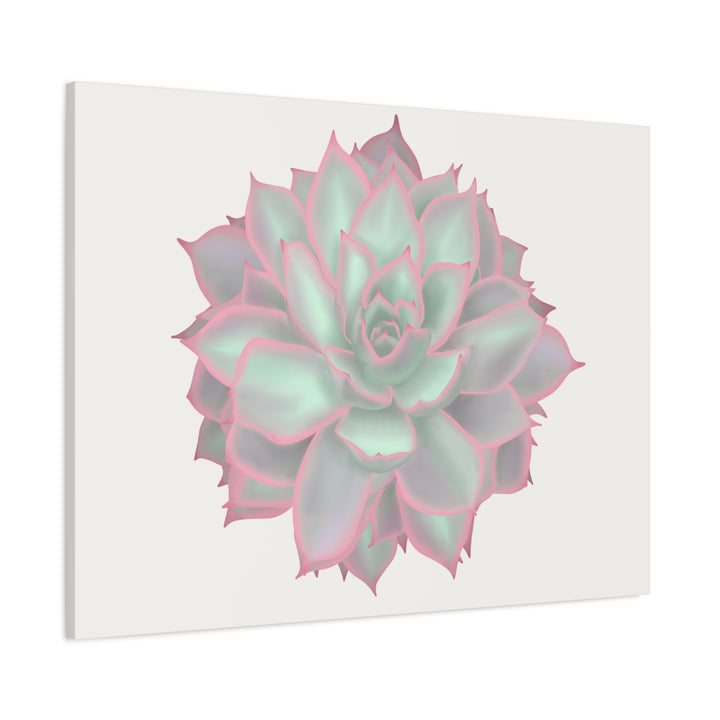 Echeveria Violet Queen Canvas Wall Art Rosette Succulent Print With Matte Finish