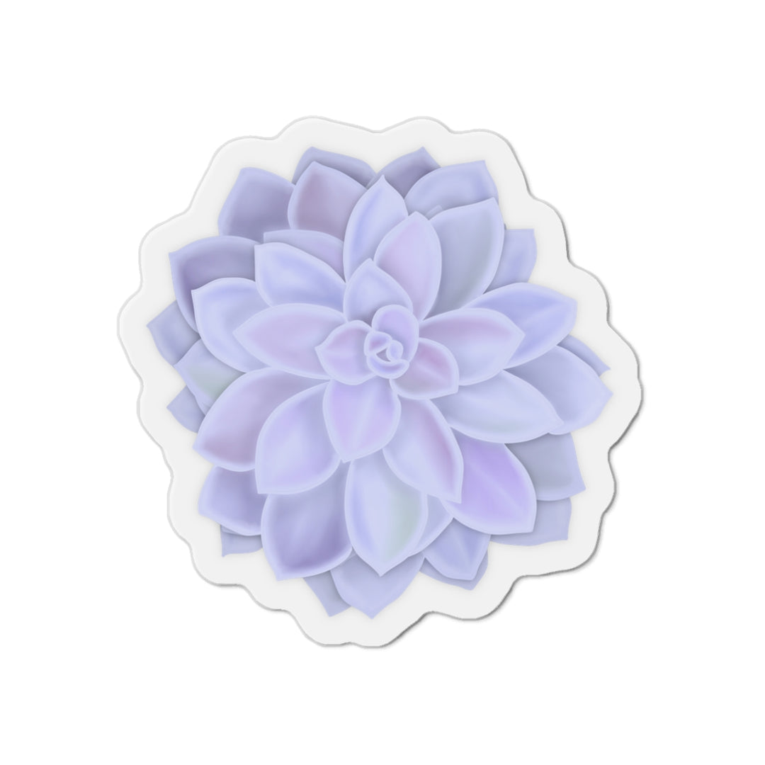 Graptopetalum Murasaki Succulent Magnet