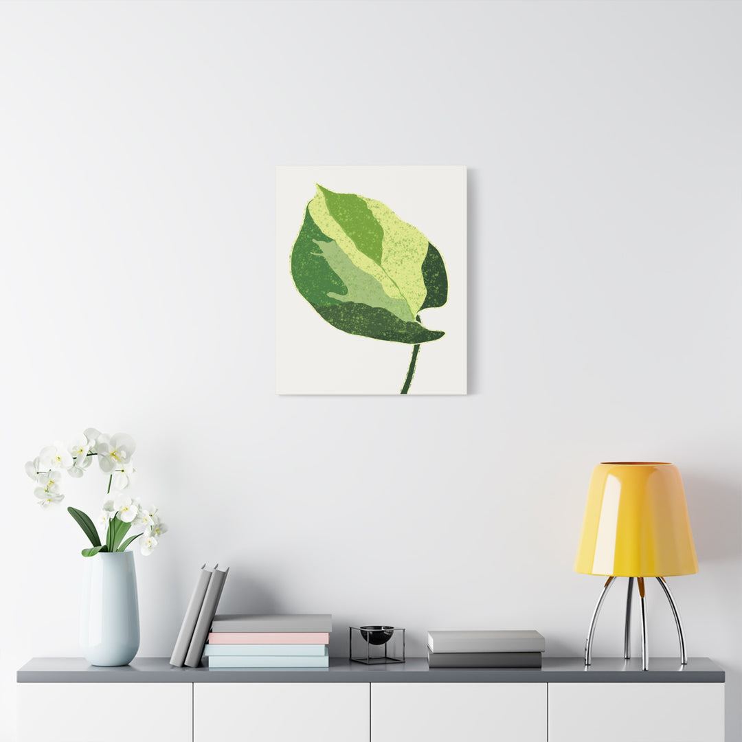 Manjula Pothos Botanical Canvas Print Matte Finish Stretched Canvas Wall Art 1.25 Inch Depth