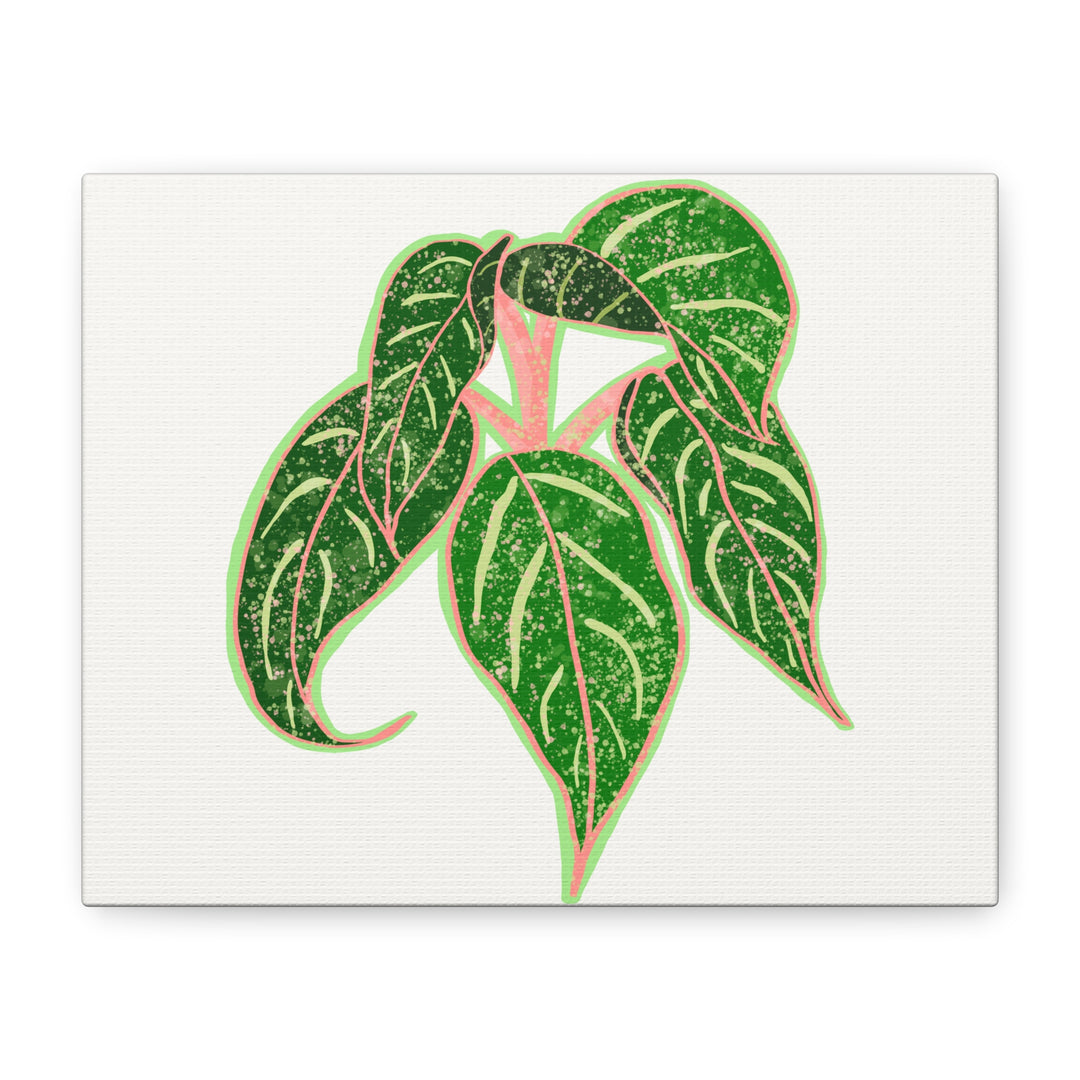 Aglaonema Sparkling Sarah Botanical Canvas Print On Matte Stretch Canvas For Modern Living Room Decor