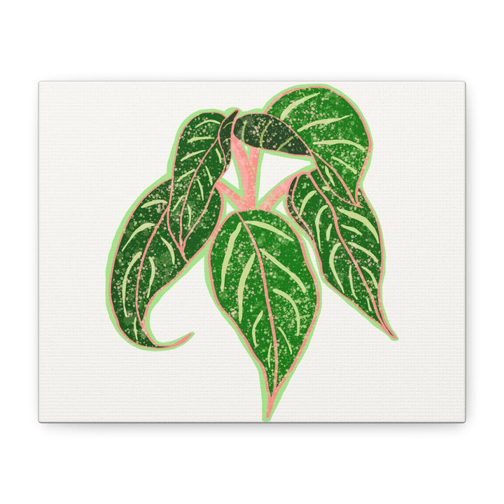 Aglaonema Sparkling Sarah Botanical Canvas Print On Matte Stretch Canvas For Modern Living Room Decor