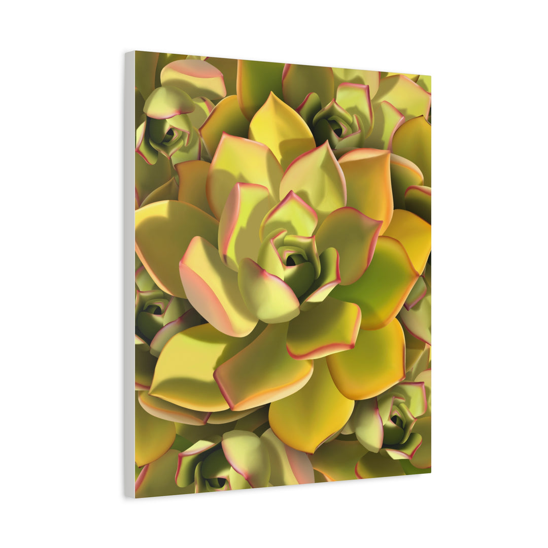 Succulent Canvas Art Vibrant Aeonium Print On Matte Canvas Wall Decor 12x18 Inches Indoor Home