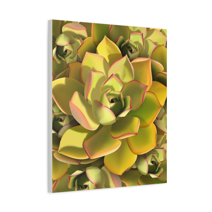 Succulent Canvas Art Vibrant Aeonium Print On Matte Canvas Wall Decor 12x18 Inches Indoor Home
