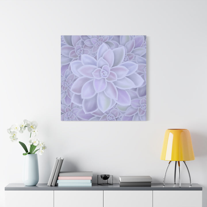 Graptopetalum Murasaki Succulent Canvas Art Print Pastel Purple Rosette Indoor Plant Decor