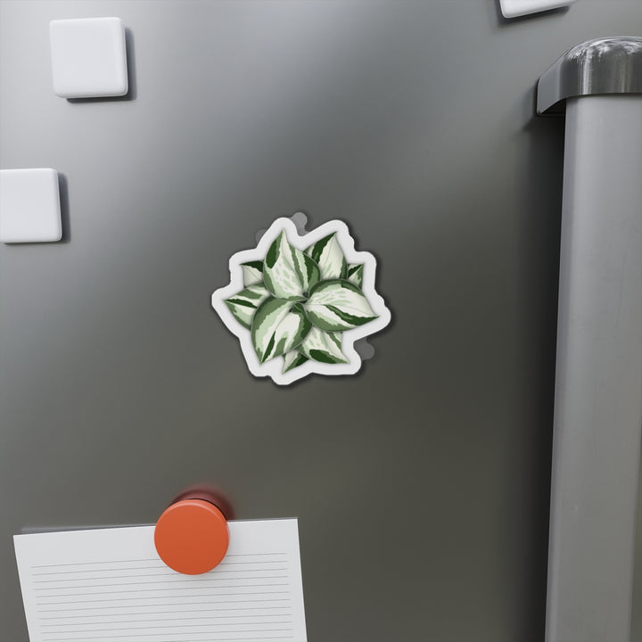 Manjula Pothos Magnet