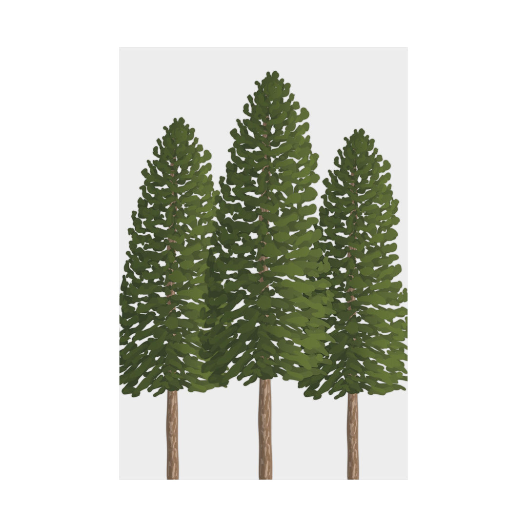 Ponderosa Pine Print – Unframed Wall Art