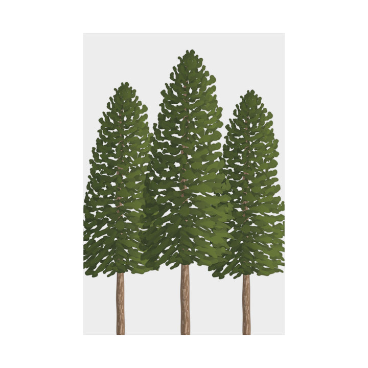 Ponderosa Pine Print – Unframed Wall Art