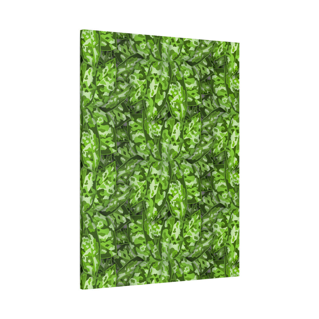 Aglaonema Pictum Canvas Wall Art Rare Plant Print Matte Finish For Modern Home Decor