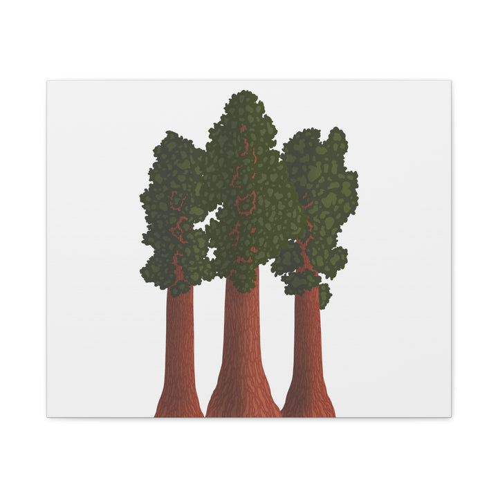 Giant Sequoias Canvas Print – Wall Art