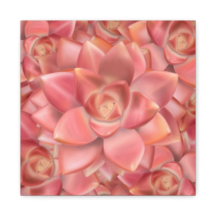Graptosedum California Sunset Succulent Canvas Print – Botanical Wall Art - The Potted Pixel