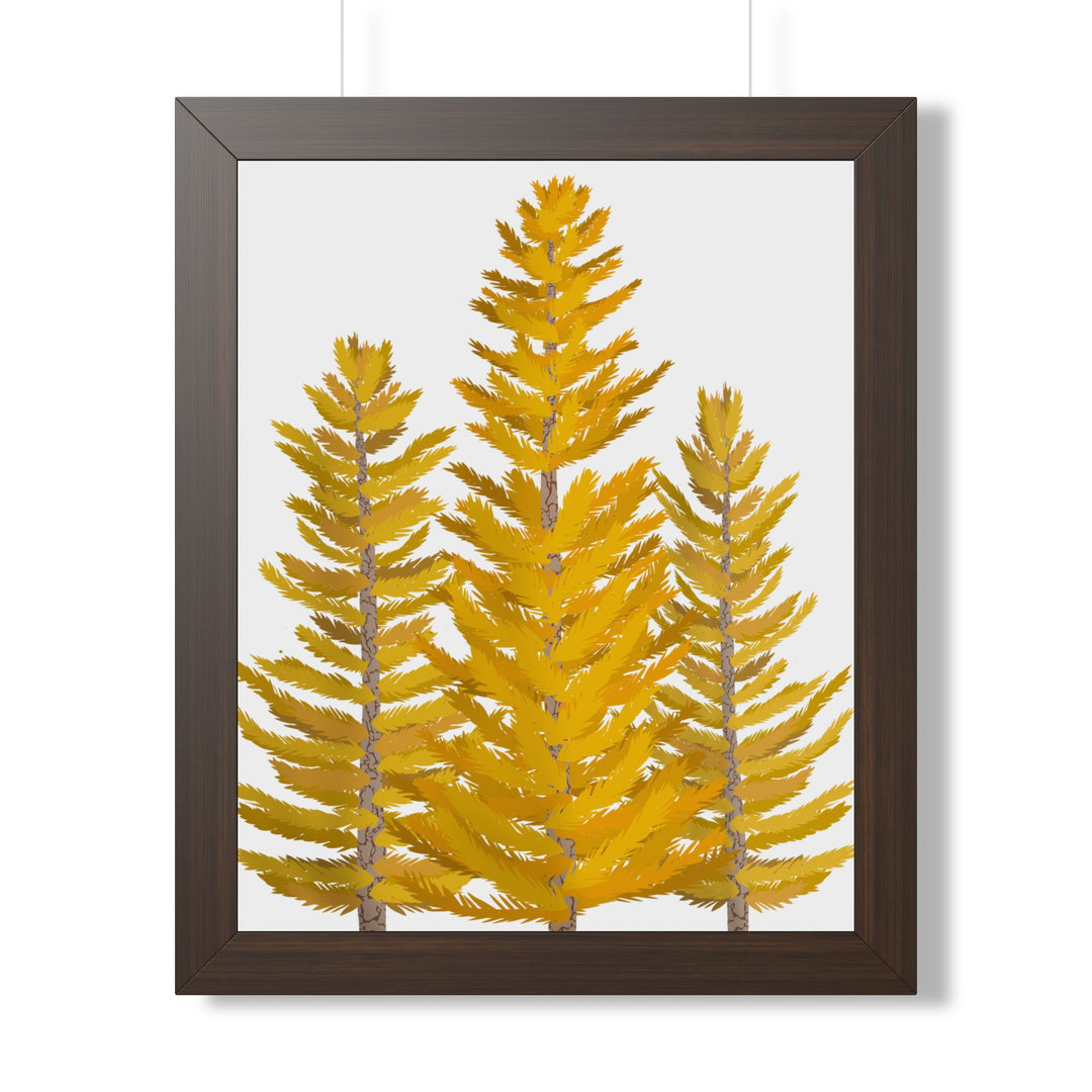 Western Larch Framed Print – Wall Art