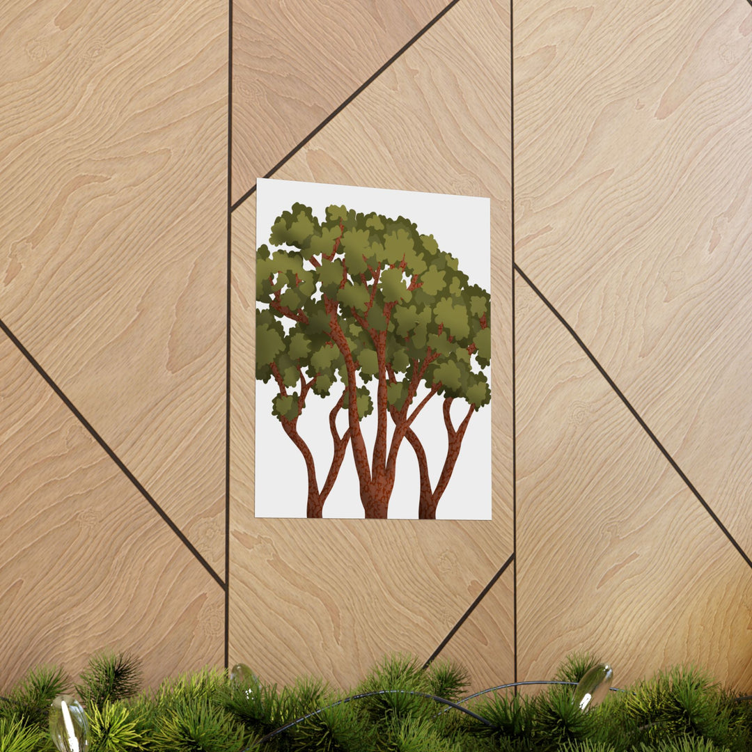 Pacific Madrone Print – Unframed Wall Art