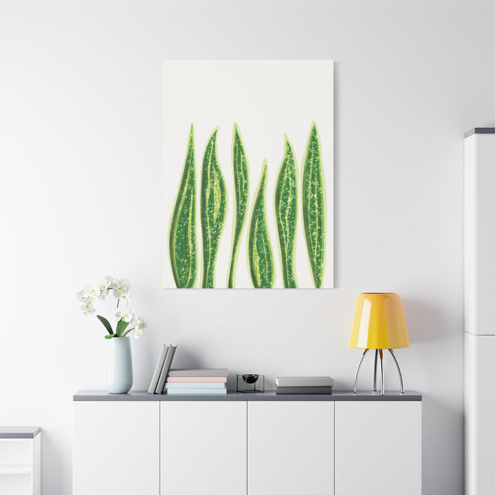 Snake Plant Canvas Print Matte 1.25 Inch Stretch Canvas Wall Art For Living Room Decor