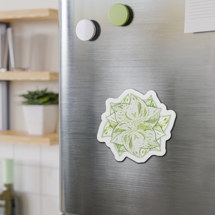 Snow Queen Pothos Magnet
