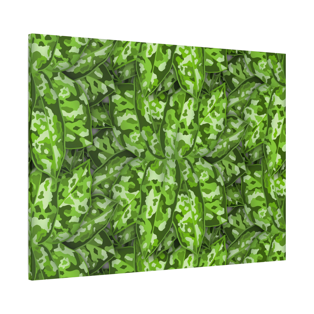 Aglaonema Pictum Canvas Wall Art Rare Plant Print Matte Finish For Modern Home Decor