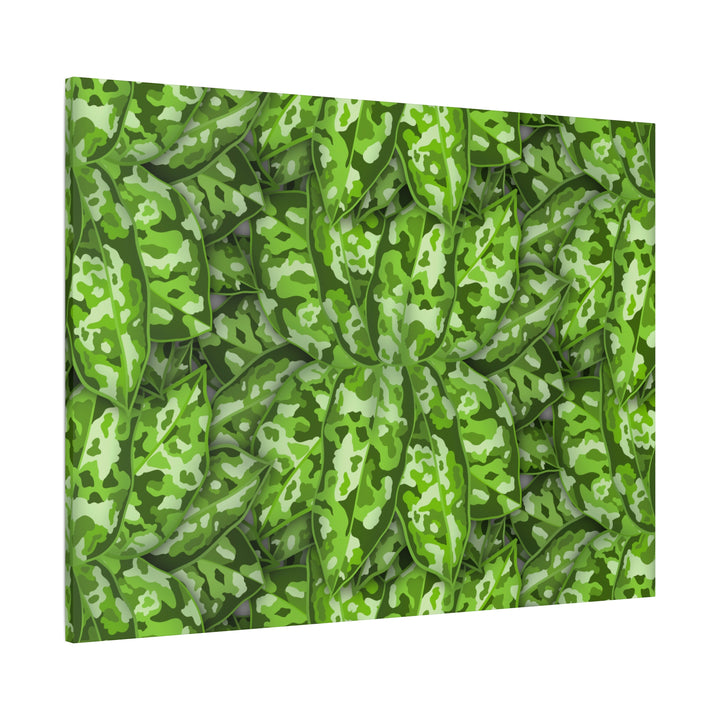 Aglaonema Pictum Canvas Wall Art Rare Plant Print Matte Finish For Modern Home Decor