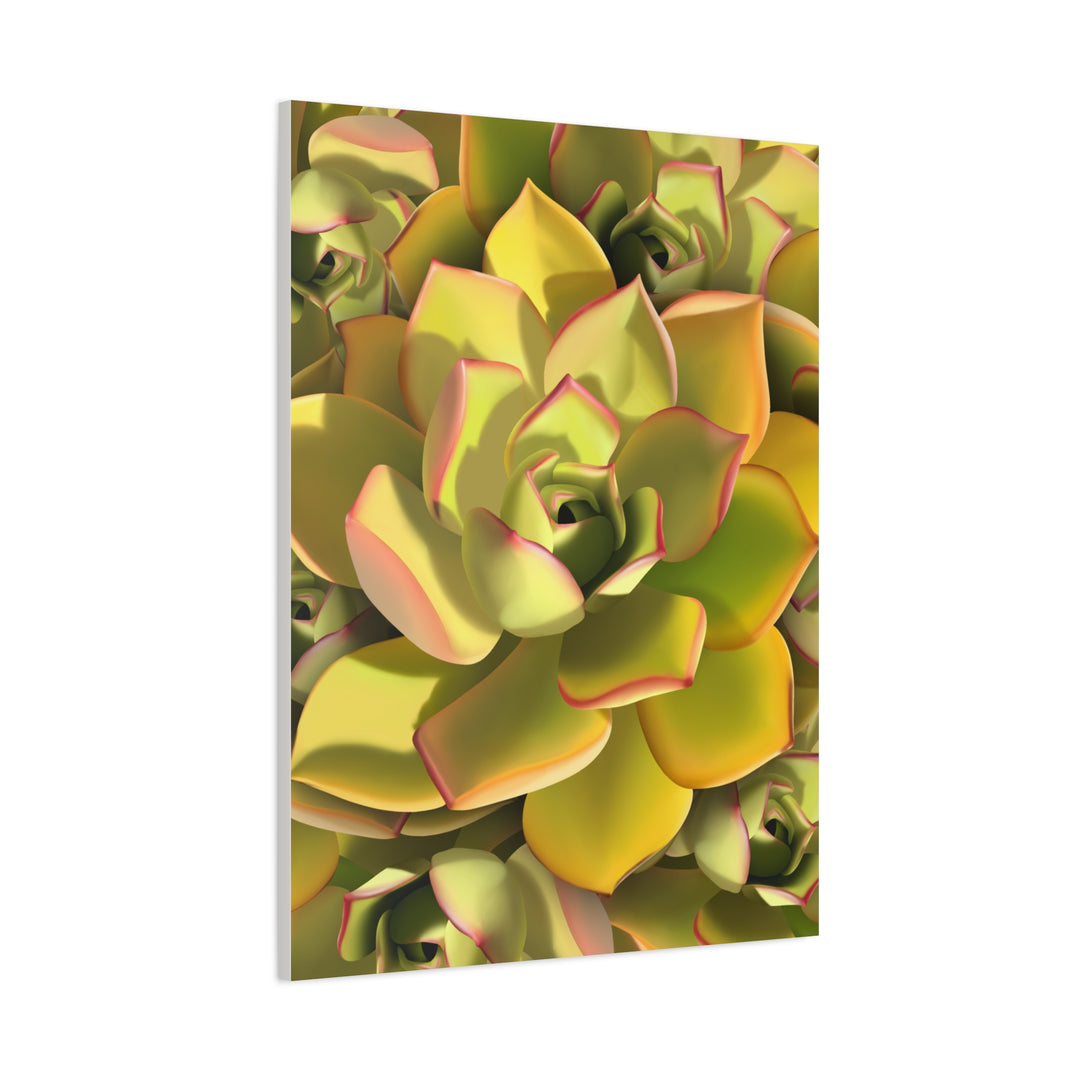 Succulent Canvas Art Vibrant Aeonium Print On Matte Canvas Wall Decor 12x18 Inches Indoor Home
