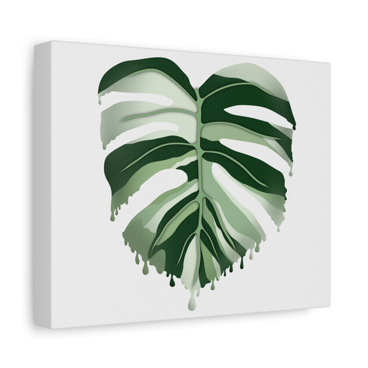 Melting Monstera Albo Canvas Large Indoor Wall Art Print Matte Finish Tropical Home Decor
