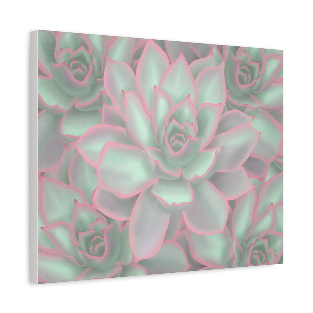 Echeveria Violet Queen Canvas Wall Art Succulent Print Matte Botanical Decor For Indoor Spaces
