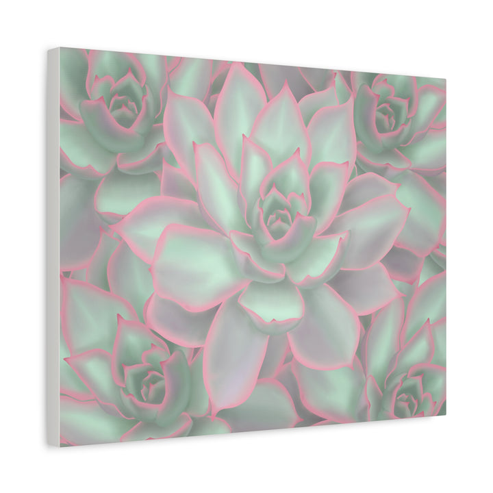 Echeveria Violet Queen Canvas Wall Art Succulent Print Matte Botanical Decor For Indoor Spaces