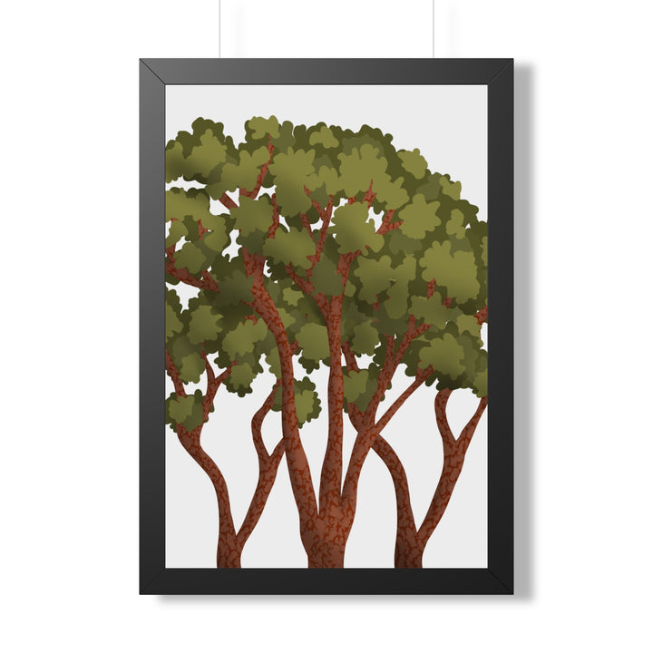 Pacific Madrone Framed Print – Wall Art