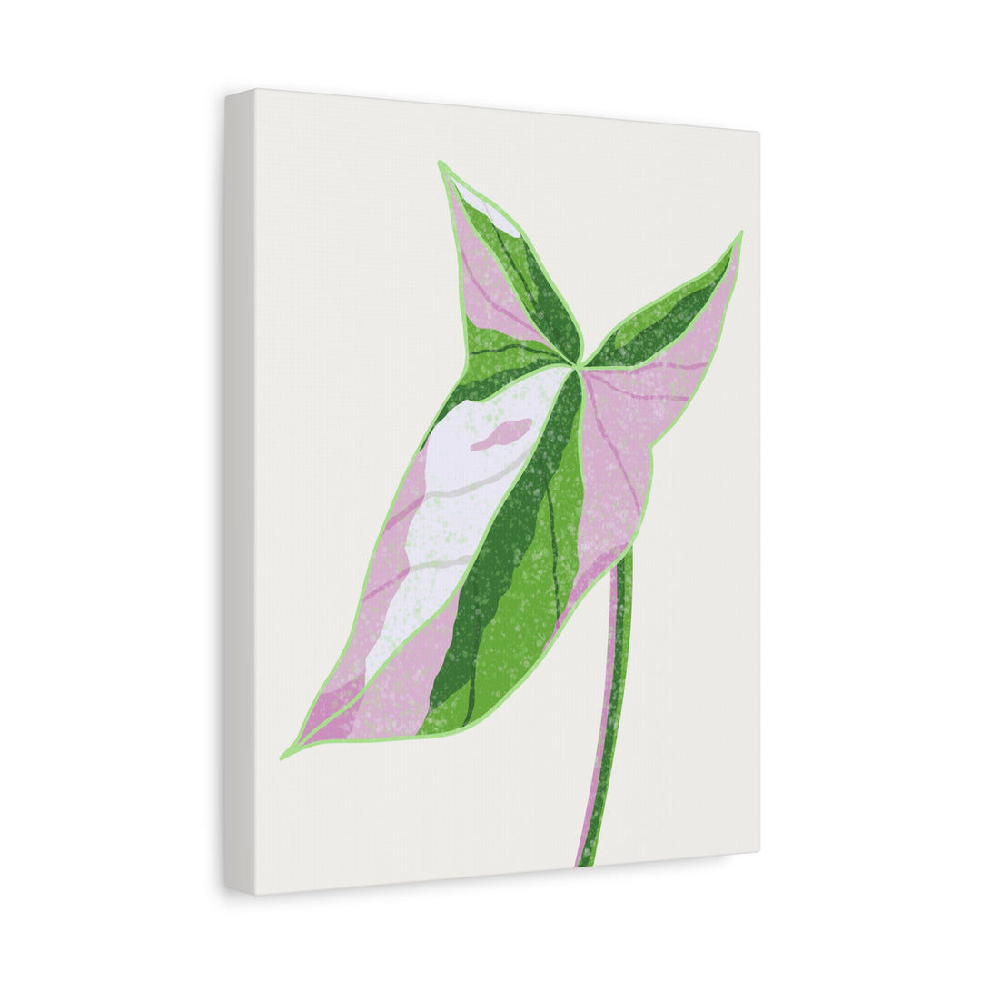 Syngonium Tricolor Canvas Print – Botanical Wall Art - The Potted Pixel
