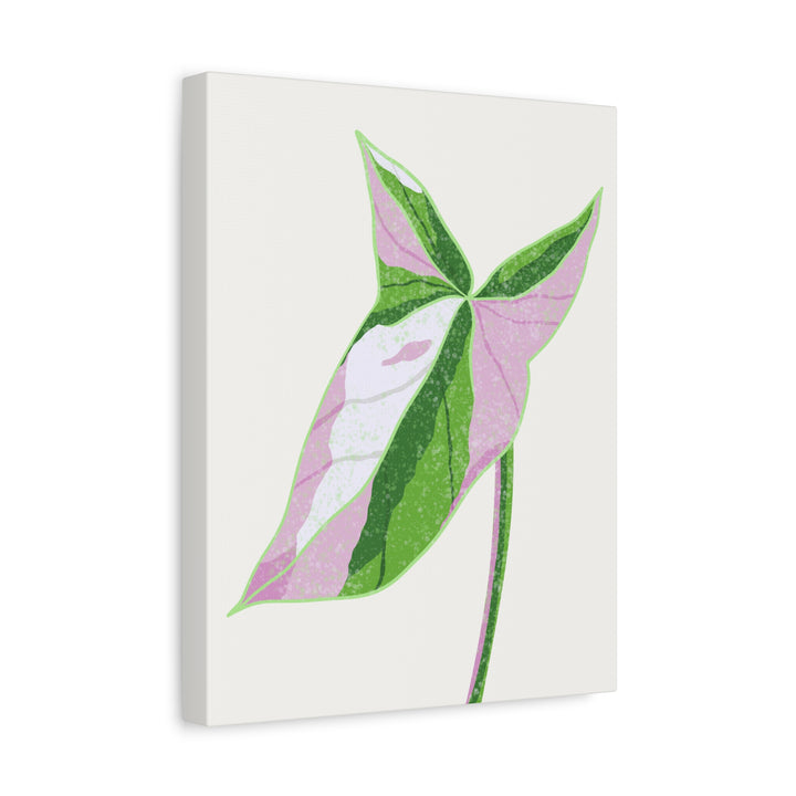 Syngonium Tricolor Canvas Print – Botanical Wall Art - The Potted Pixel