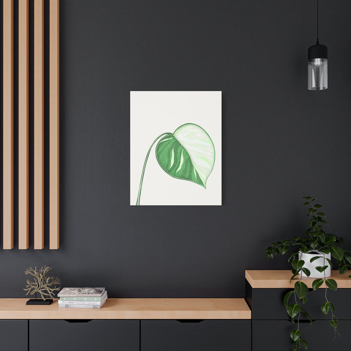 Monstera Albo Canvas Large Stretched Premium Quality Cotton Canvas Wall Art Tropical Leaf Poster Decor