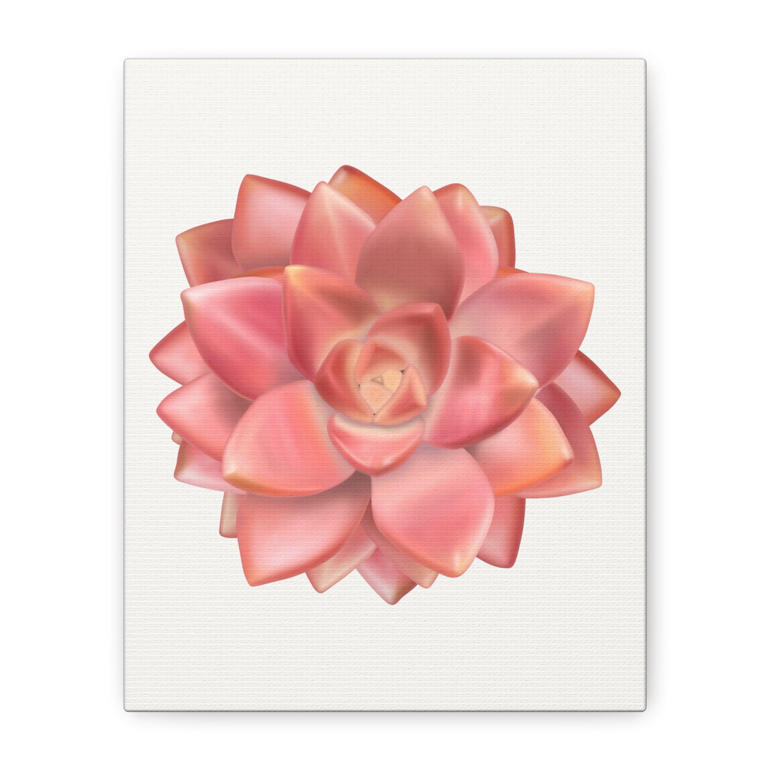 Succulent Canvas Art California Sunset Rosette Botanical Wall Art Print The Potted Pixel