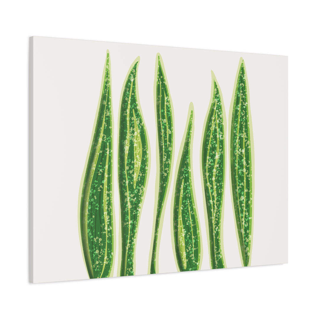 Snake Plant Canvas Print Matte 1.25 Inch Stretch Canvas Wall Art For Living Room Decor