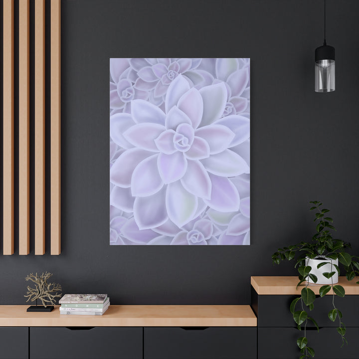 Graptopetalum Murasaki Succulent Canvas Art Print Pastel Purple Rosette Indoor Plant Decor