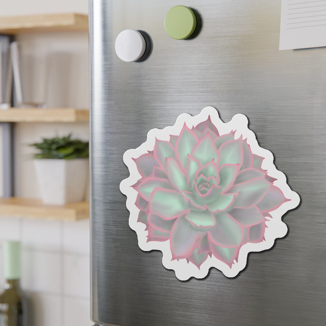 Echeveria Violet Queen Succulent Magnet