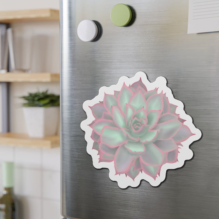 Echeveria Violet Queen Succulent Magnet