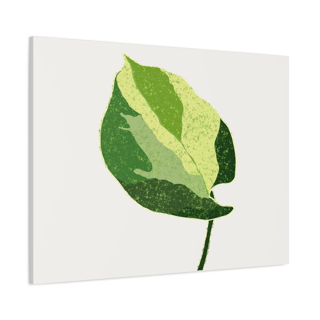 Manjula Pothos Botanical Canvas Print Matte Finish Stretched Canvas Wall Art 1.25 Inch Depth