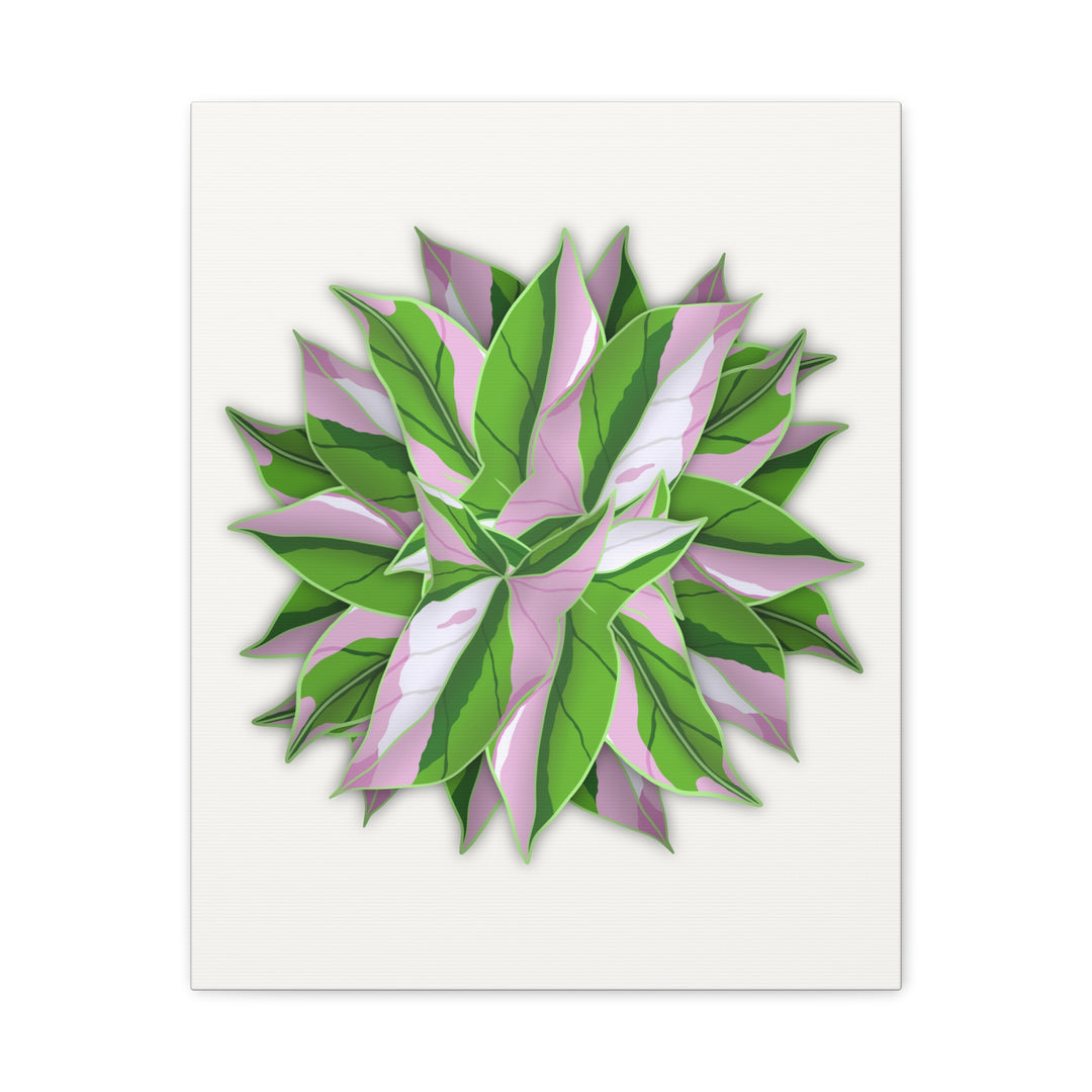 Syngonium Tricolor Canvas Print – Botanical Wall Art - The Potted Pixel
