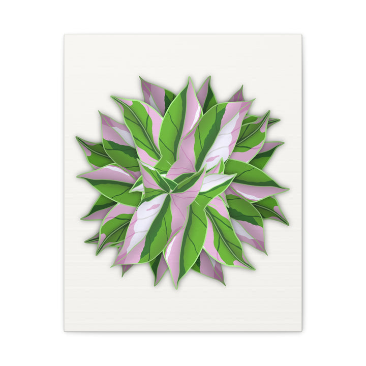 Syngonium Tricolor Canvas Print – Botanical Wall Art - The Potted Pixel