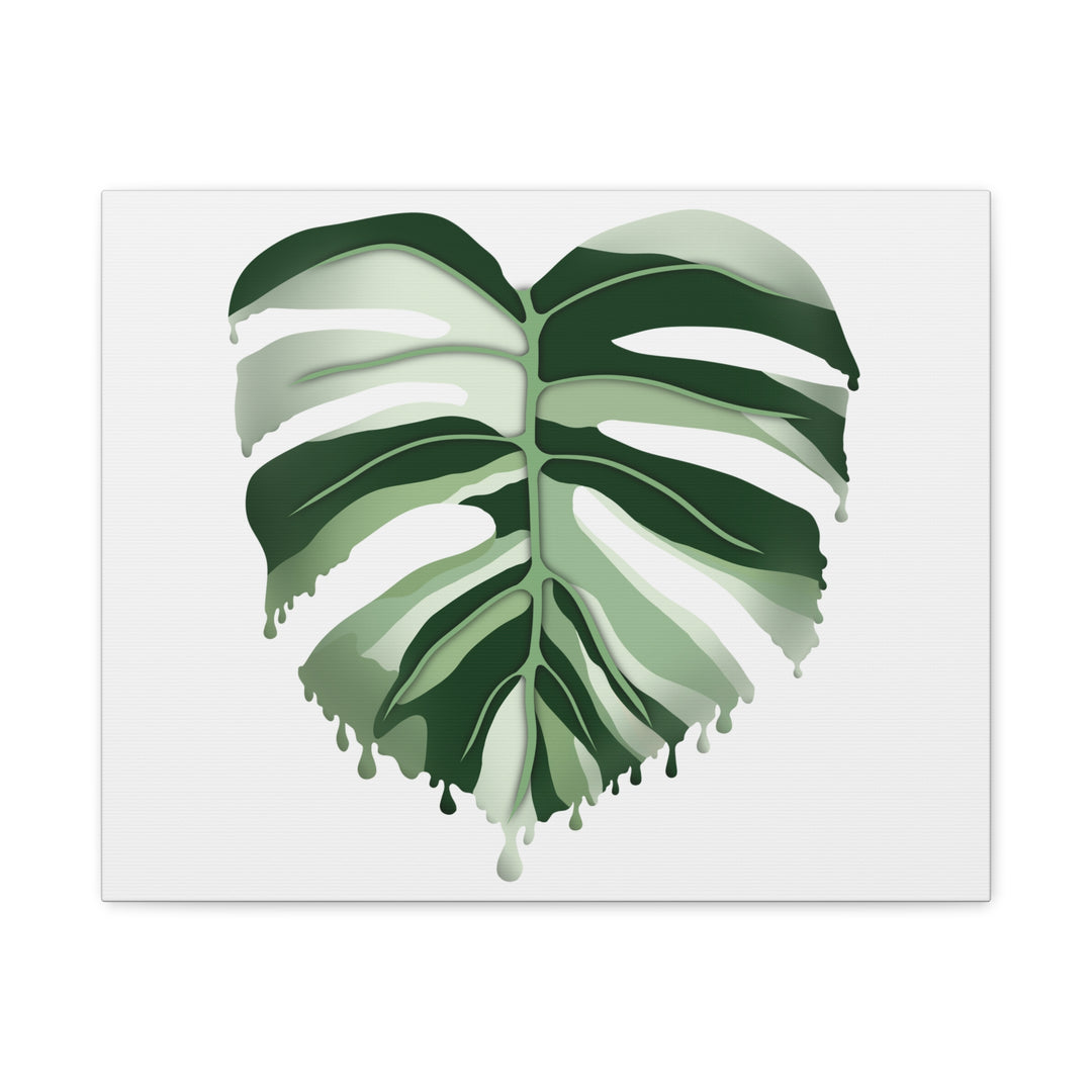 Melting Monstera Albo Canvas Large Indoor Wall Art Print Matte Finish Tropical Home Decor