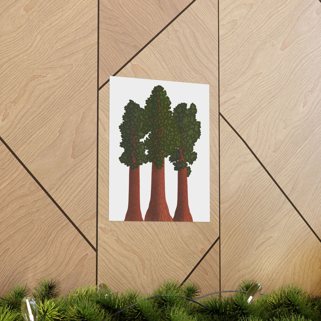 Giant Sequoias Print – Unframed Wall Art