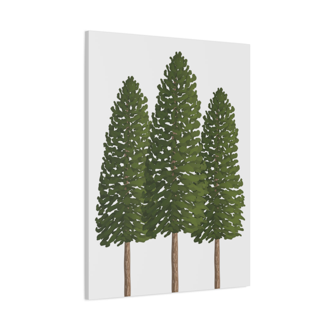 Three Ponderosa Pine Canvas Wall Art Matte Stretched Print Minimalist Forest Landscape Decor