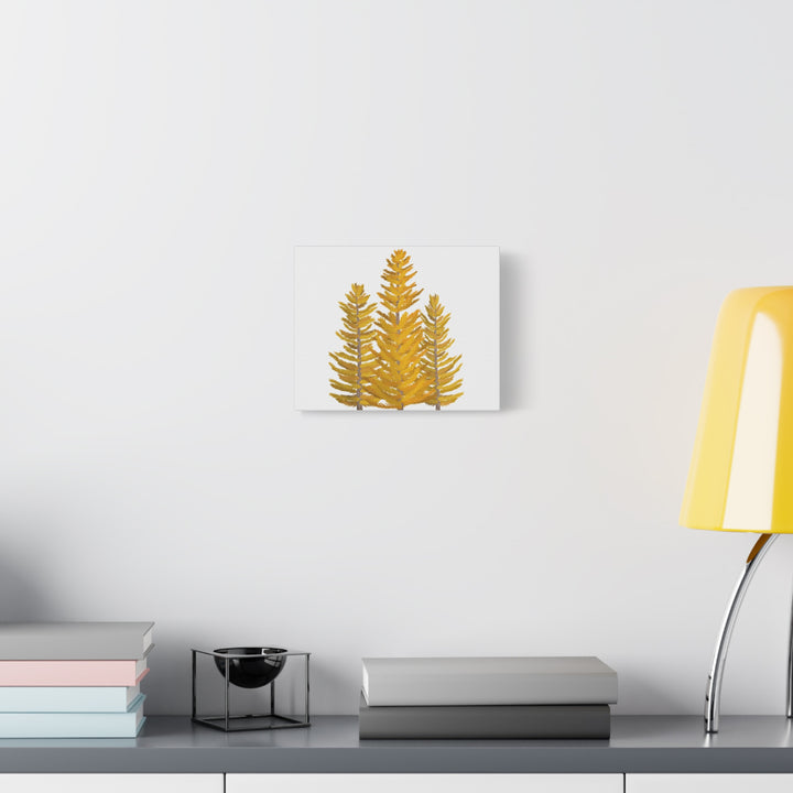 Western Larch Canvas Print – Wall Art