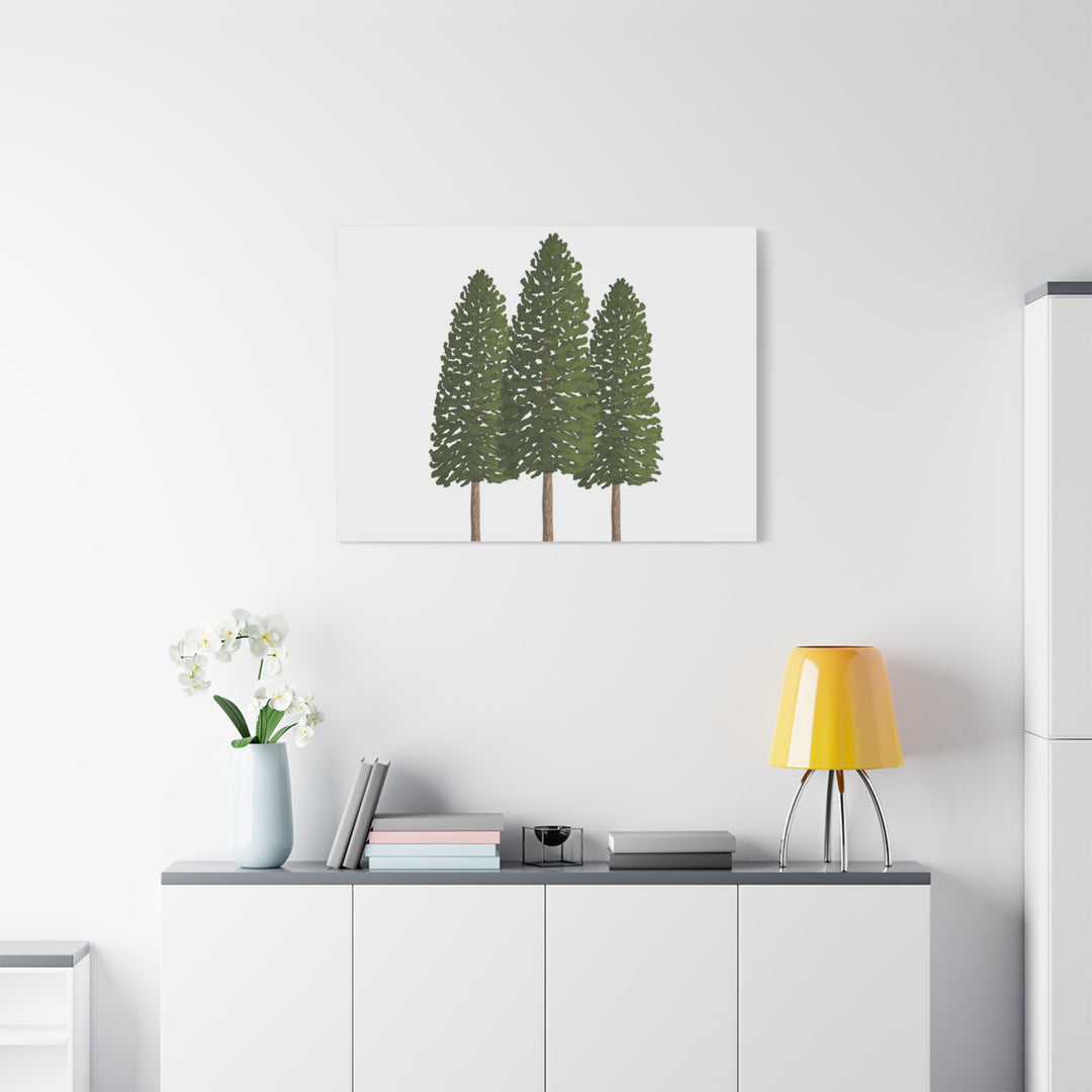 Three Ponderosa Pine Canvas Wall Art Matte Stretched Print Minimalist Forest Landscape Decor