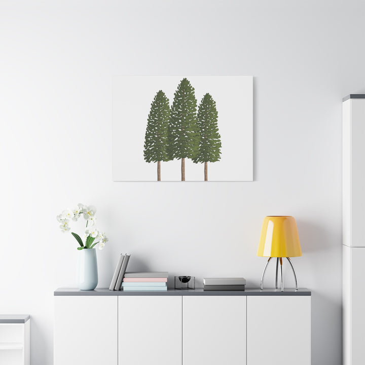 Three Ponderosa Pine Canvas Wall Art Matte Stretched Print Minimalist Forest Landscape Decor