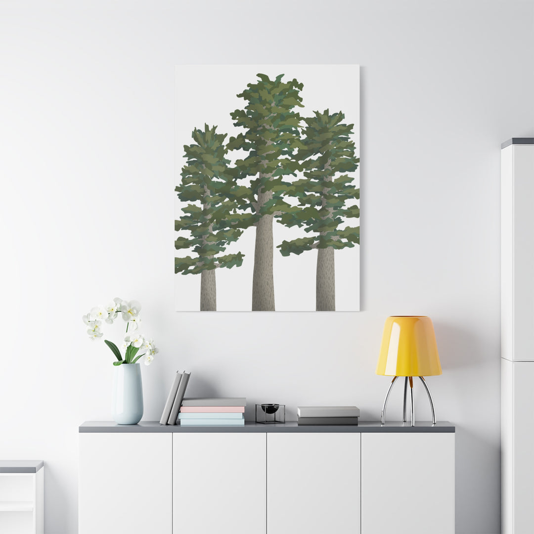 Sitka Spruce Canvas Print – Wall Art