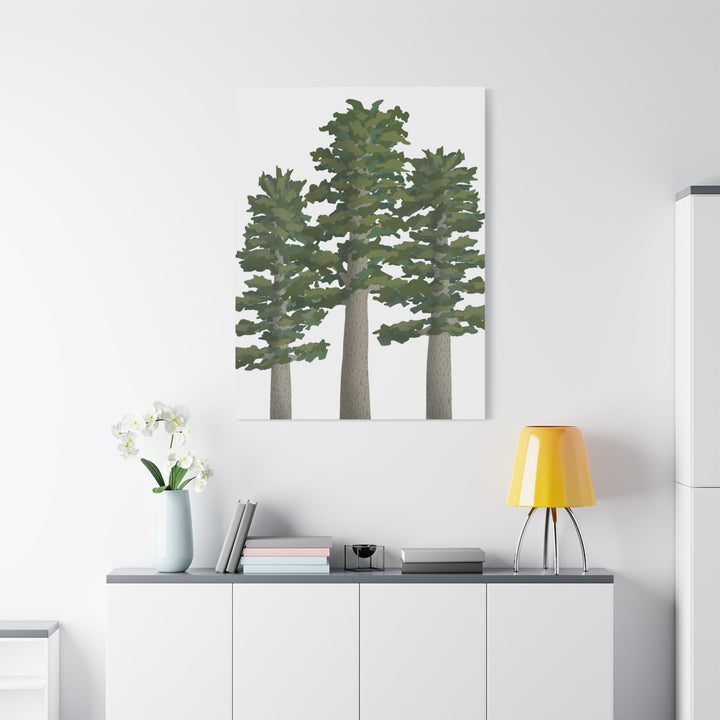 Sitka Spruce Canvas Print – Wall Art