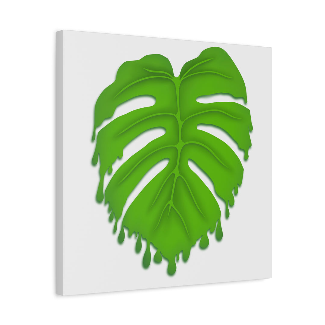 Melting Monstera Canvas Wall Art Large Botanical Print On Premium Cotton With Matte Finish For Indoor Decor