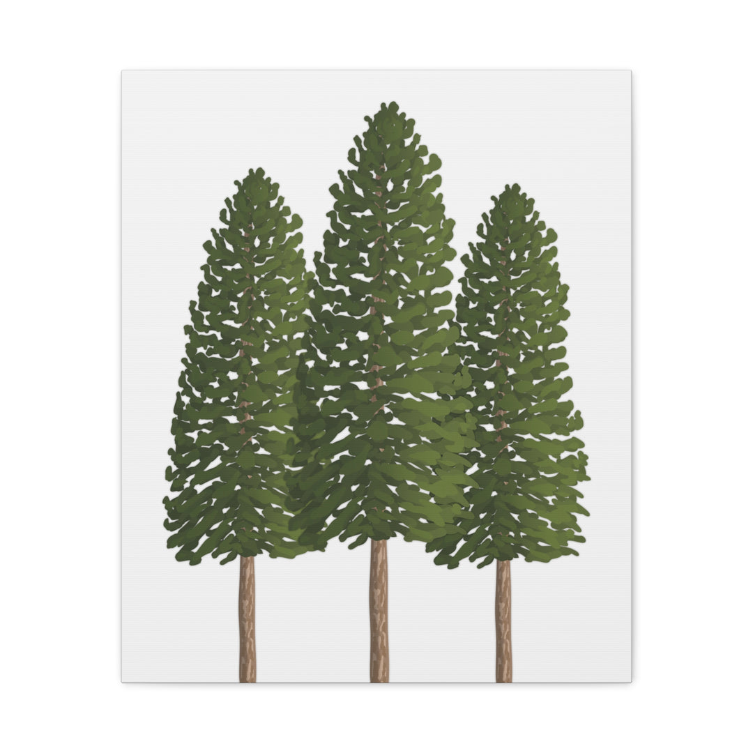 Three Ponderosa Pine Canvas Wall Art Matte Stretched Print Minimalist Forest Landscape Decor